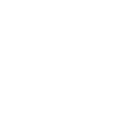 Princess Anne Princess Anne